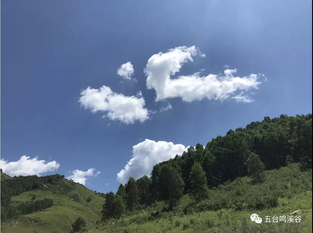 微信图片_20200308164012.jpg 微信图片_20200308164012.jpg